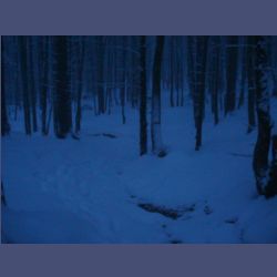 2013-02-02_Rappinschlucht_Lainlalm (171).jpg